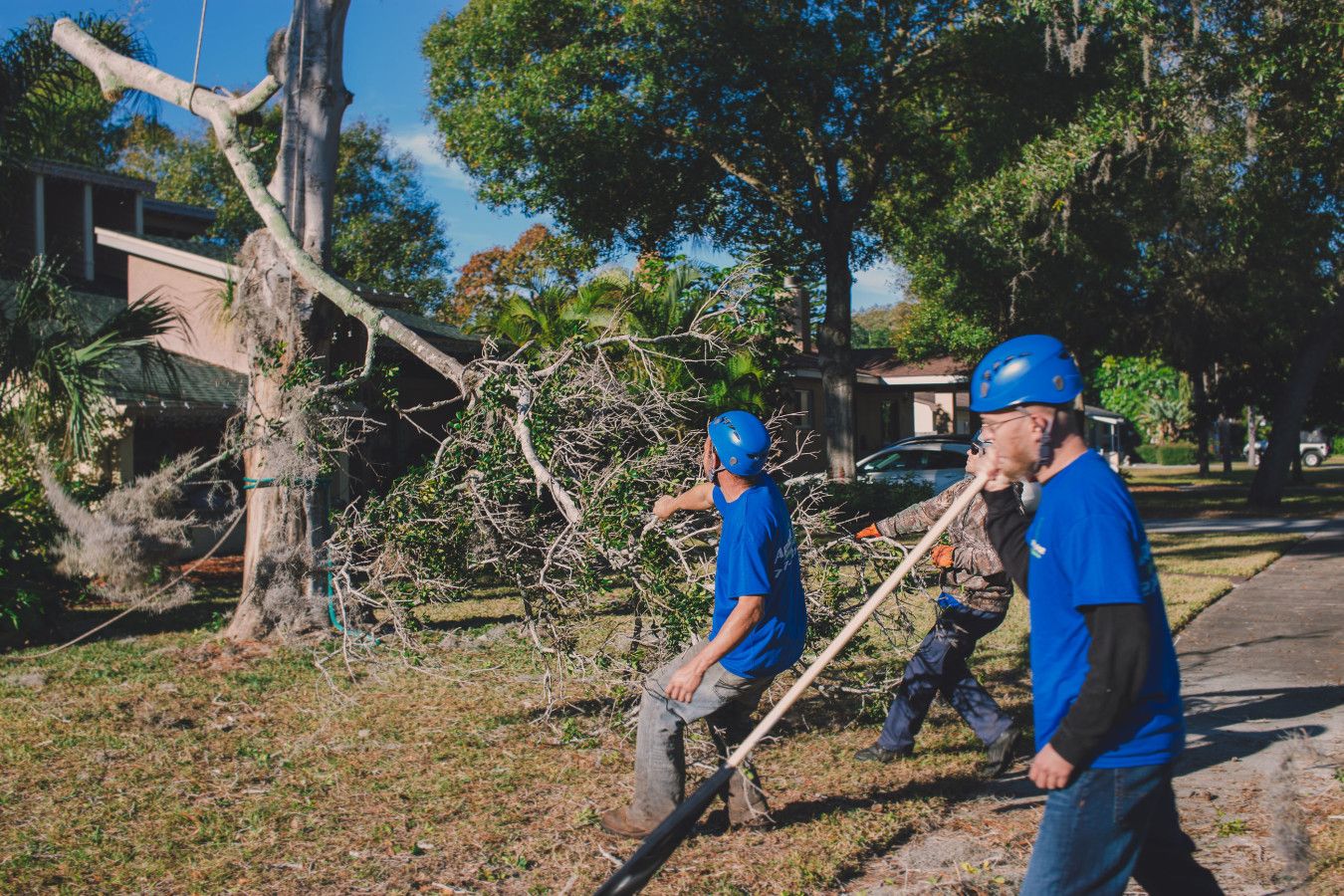 Tree Stump Removal in Carolina Forest SC
